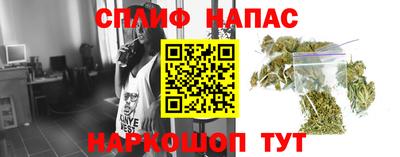 гашик Заволжье