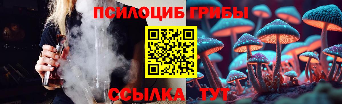 Нижнеудинск  Псилоцибиновые грибы MAGIC MUSHROOMS  наркотики  Вход с VPN 